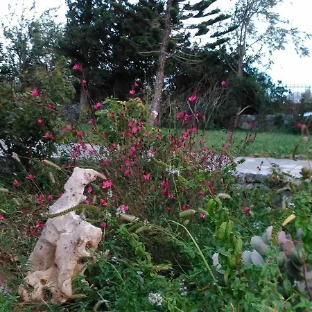 Plakias * Lefkogeia